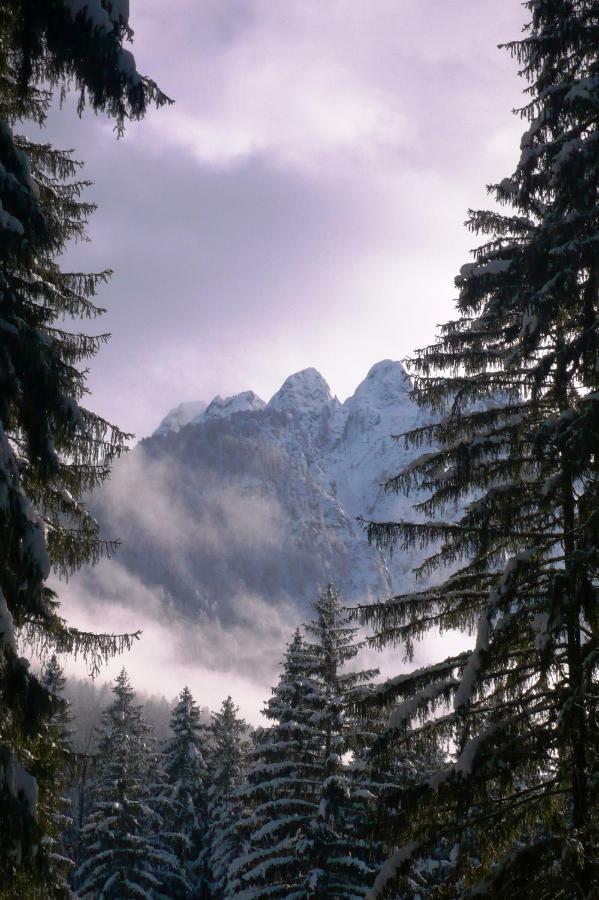 Mountain Loft Villa Tarvisio Eksteriør billede